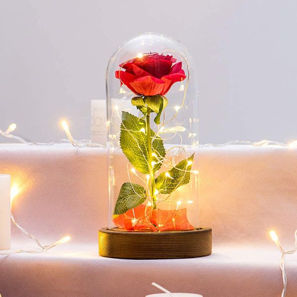MDF Wood Base Borosilicate D12xH20cm Glass Dome Cloche
