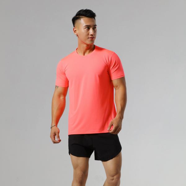                  Custom Logo T Shirt 95%Cotton 5%Spandex Gym Fitness Training Plain Men T Shirt             