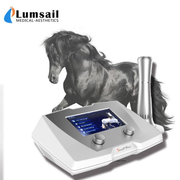 Physical Therapy Shock Machine For Chronic Back Pain / Tendon Injury