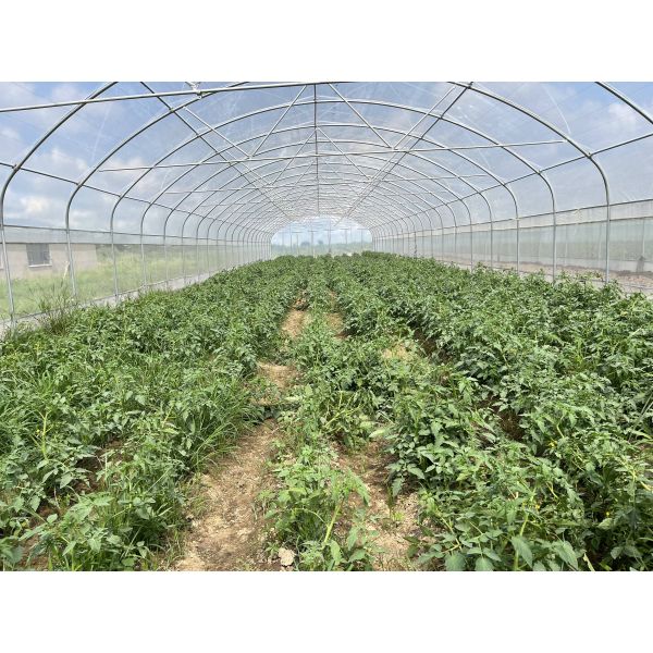 Противоветровая пластиковая пленка теплицы с 90% световой проницаемостью