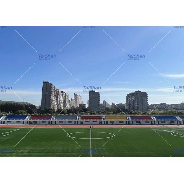 FIFA Certified 55mm Pile Height High Density Artificial Turf for Soccer Courts with Low Maintenance