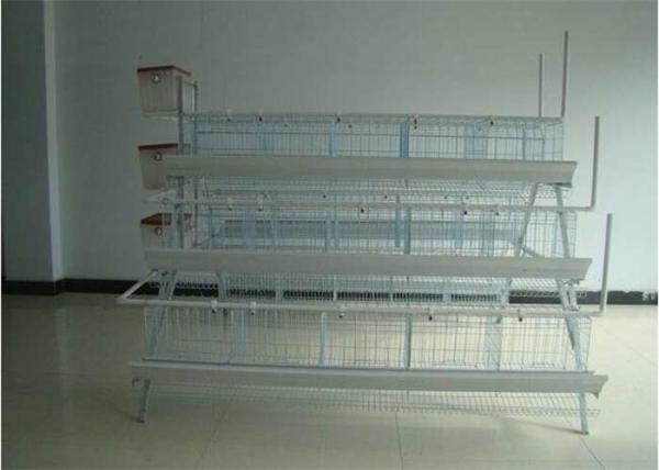 Long Life Q195 Steel Wire Layer Chicken Cage 3/4 Tier Layer Cage