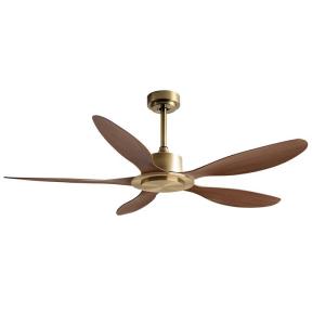 Indoor Modern Ceiling Fan Frequency Conversion 56 Inch Remote Control Light Free
