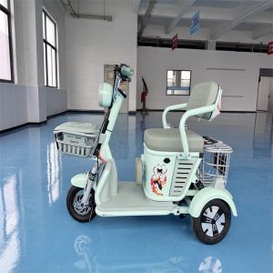 Cute Lightweight Electric Tricycle, Stylish 3-Wheel Scooter for Daily Errands &