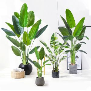 H160cm Artificial Traveller's Palm Customized Decorated For Store Office Corner  Decor