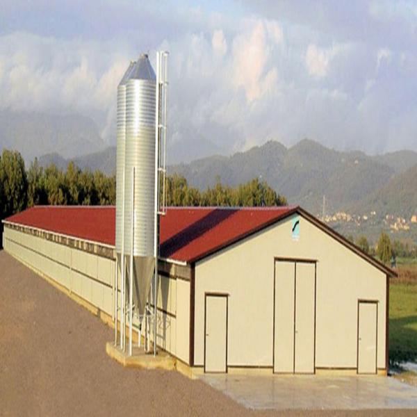 Edificio de construcción de acero moderno de larga envergadura Casa de aves prefabricada de alta capacidad