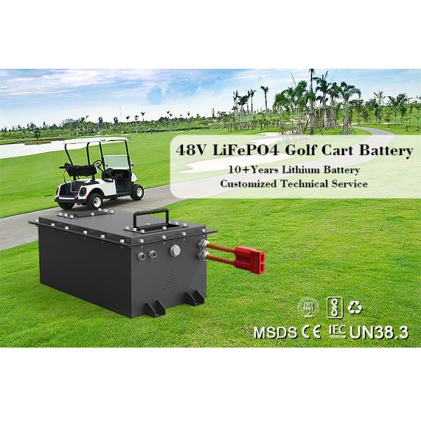 High Performance 100Ah 150Ah 200Ah Forklift Club Cart Batteries 51.2V 73.6V LiFePo4 Battery System