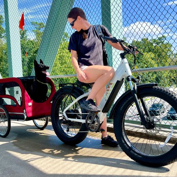 27.5