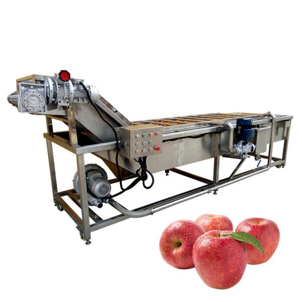 3.37kw 2000kg/H Tomato Strawberry Vegetable And Fruit Washing Machine