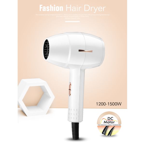 Фен для волос двойного напряжения тока аксиального потока электрический для пользы перемещения домашней