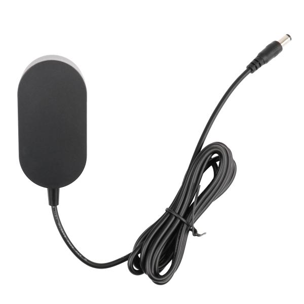 Wall Mount Battery Charger SAA Certified 650mA 12.35W 19V Power Adapter High Safety