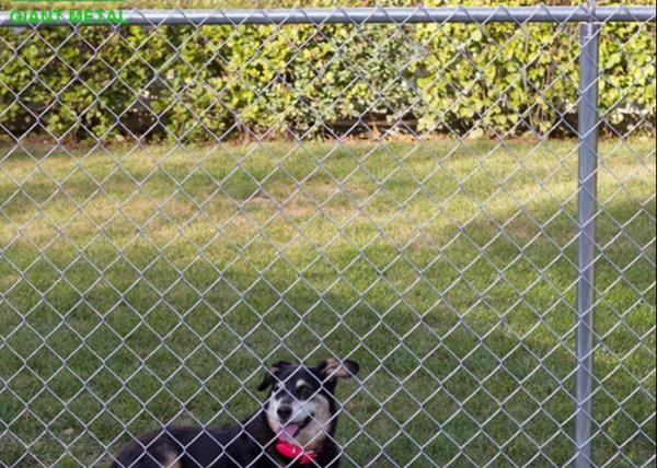Hot Dipped / Electro Galvanized Cyclone Wire Mesh Garden Security Fence Chain Link Fence