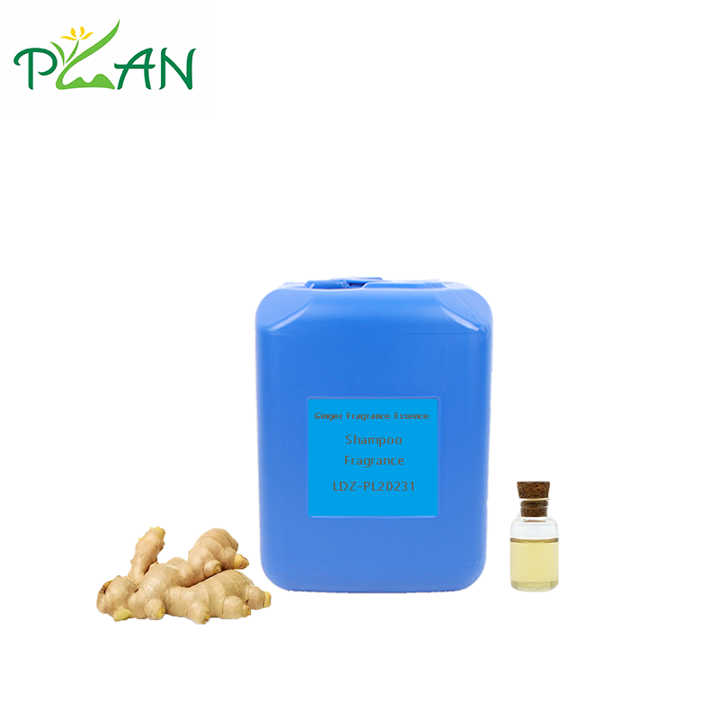 Ginger Fragrance Essence For Shampoo and Soap Making /Productions with High-Surfactant Stability, IFRA Compliance