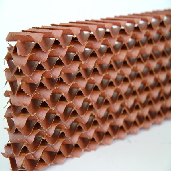 Pad Forced Ventilation Evaporative Wet Wall Greenhouse Cooling System