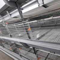 Le long temps emploient un type cages de batterie de poulet de ferme pour des couches