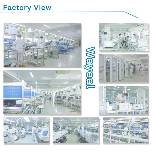 Analisador quantitativo de teste rápido 96 Wells do PCR da fluorescência do tempo real 5 canais