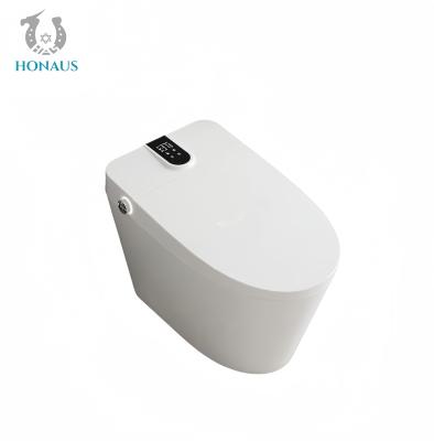 Small Size Smart Intelligent Toilet Ceramic Multi Functions Modern Design Siphonic