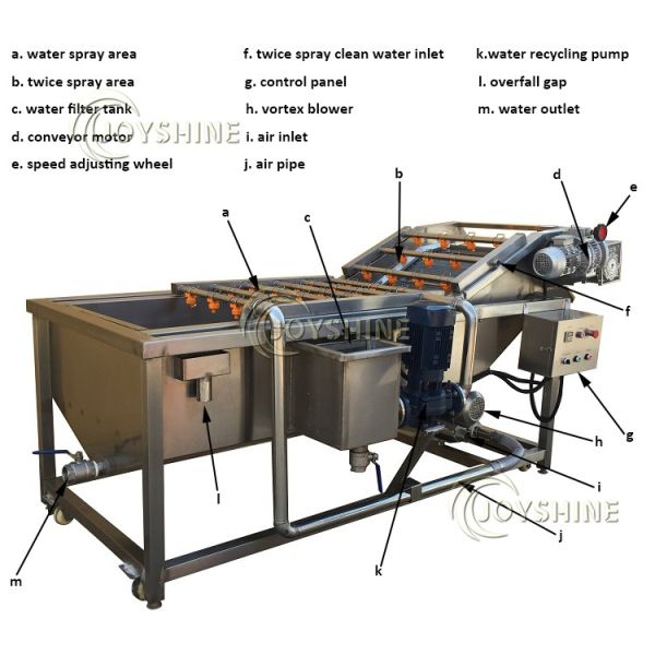 100-500kg/H Ozone Fruit And Vegetable Washer For Cleaning Carrots And Cassava