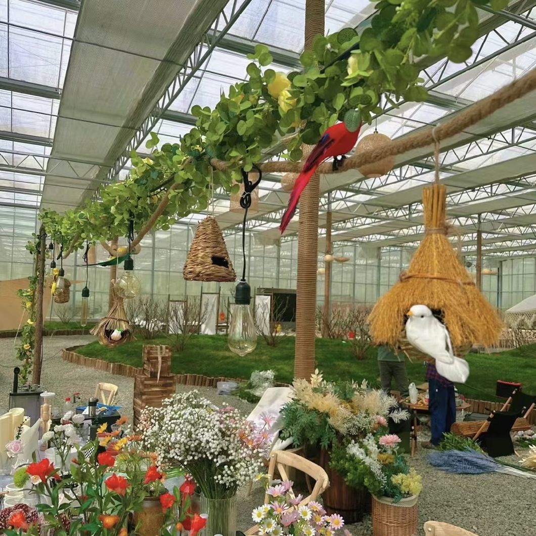 20 долларов США на квадратный метр Ju Xiang Glass Greenhouse для выращивания овощей Полная оплата