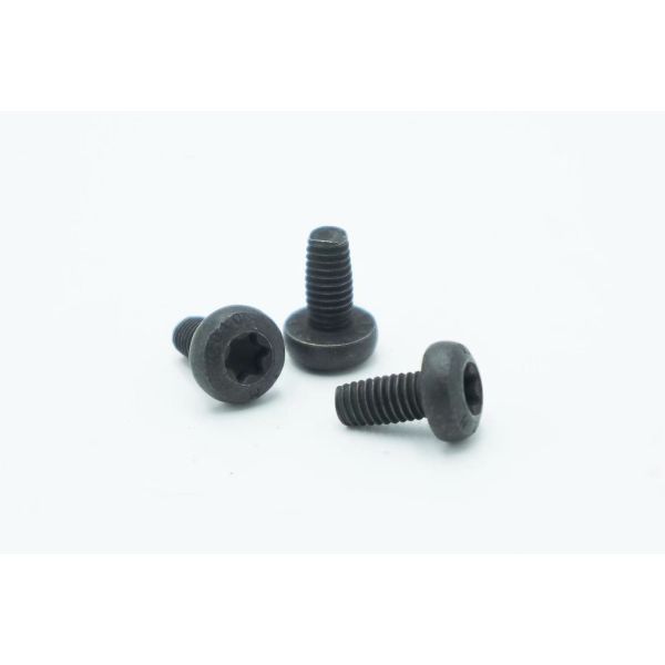 Torx Socket Head screw Torx Socket Head Screw Нержавеющая сталь Машинные винты Противоугонные винты