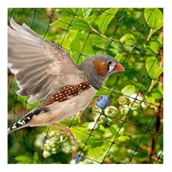 factory price pe farm plastic nets garden orchard anti bird net