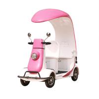 Pink Blue Park Scooter de mobilité électrique Navigateur touristique