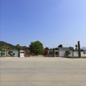 GUANGDONG HUAXING PACKAGING CO., LTD.