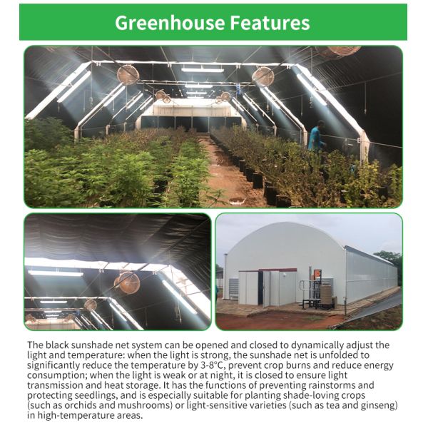 Baolida Light Deprivation Greenhouse Mushroom Automatic Blackout Greenhouse