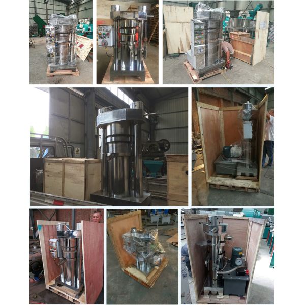 Cocoa Butter Production Line for Food Industry 304 Stainless Steel Cocoa Processing Equipment