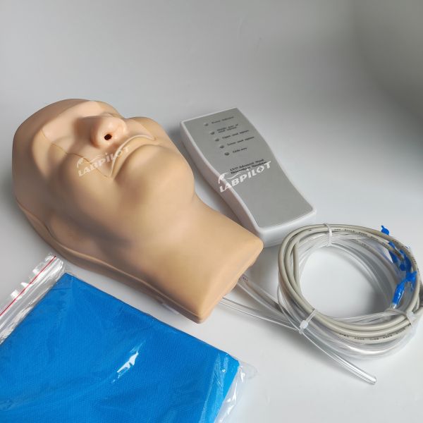 Vivid Head and Neck Model Nasal Hemorrhage Simulator for Patients Care Demonstration