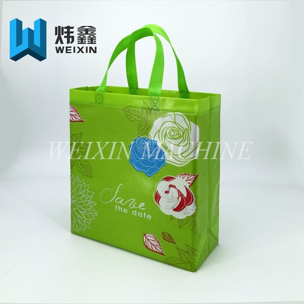Heart & Fruit type Non Woven Bags promotion bag With Heat Sealed /Tesion 20kgs