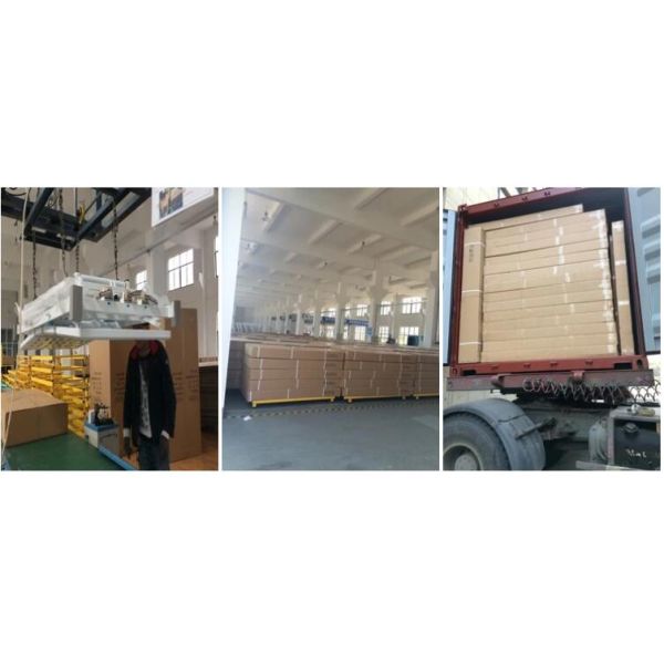 8 Functions Electric Medical ICU Care Bed / Automatic Hospital Bed