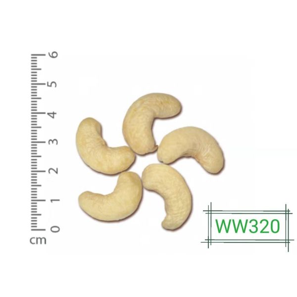 AI Cashew Nut Grading Machine Intelligent Cashew Color Sorter Machine