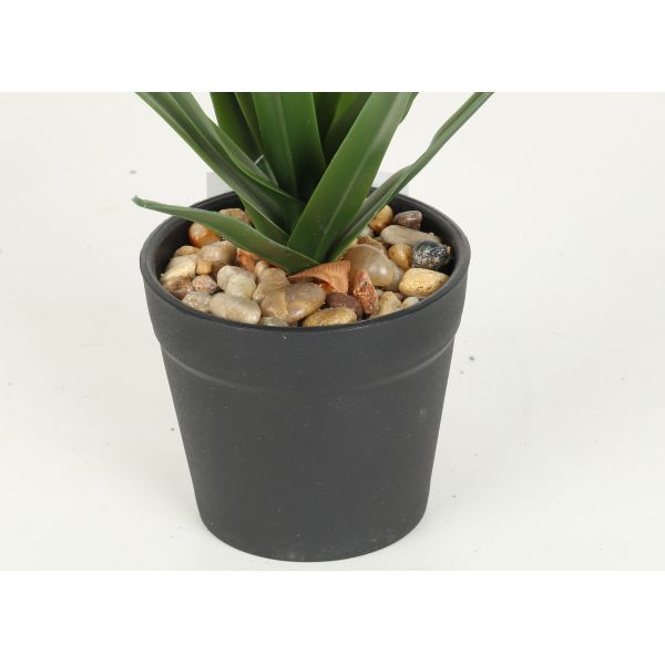 Texture Fidelity Greenery Agave Faux Bonsai Tree 22 CM 25 CM 29 CM