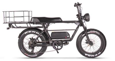 Fast Long Range Electric Bike Road 20 Cargo Double Batteries 500w 9.6Ah 40kmh