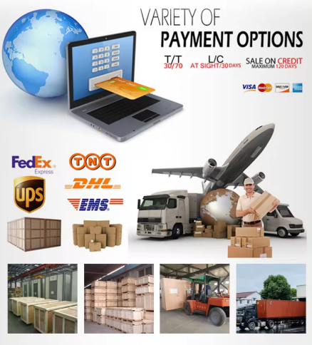 Automatic Continuous Vacuum Skin Displacement Chain Plastic Tray Sealer DQ630AT-VS High Quality Tray Sealer Machine