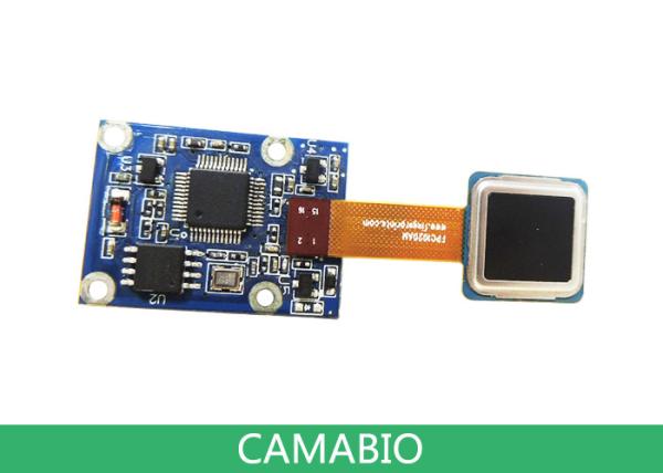 CAMA-AFM31 Module capacitif d'identification d'empreintes digitales pour la sécurité biométrique et les dispositifs d'automatisation