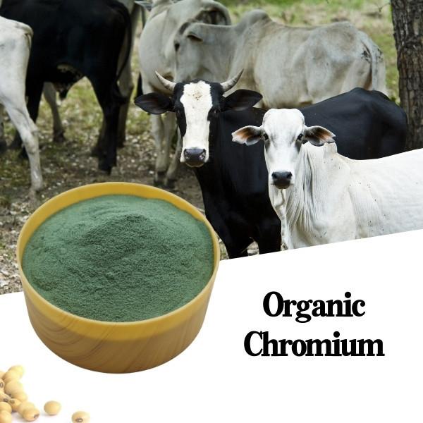 Aditivo orgânico da alimentação do cromo com cromo de 8% & ácido aminado de 25%