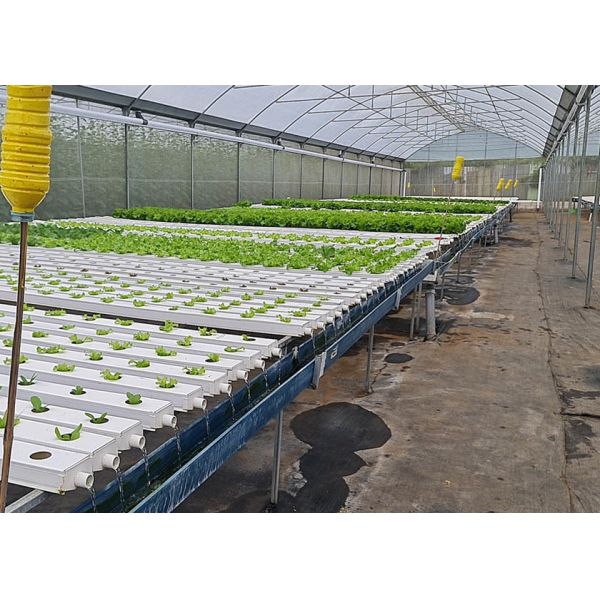 Теплица для сельского хозяйства с климат-контролем, оцинкованная горячим способом