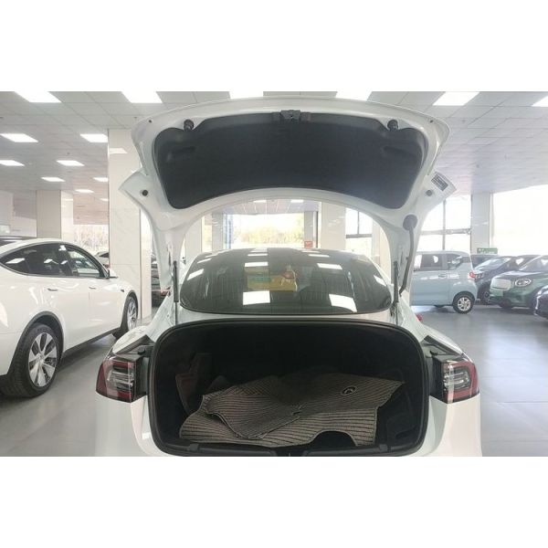 Подержанный автомобиль мест быстрого хода 5 корабля энергии электрического автомобиля новый