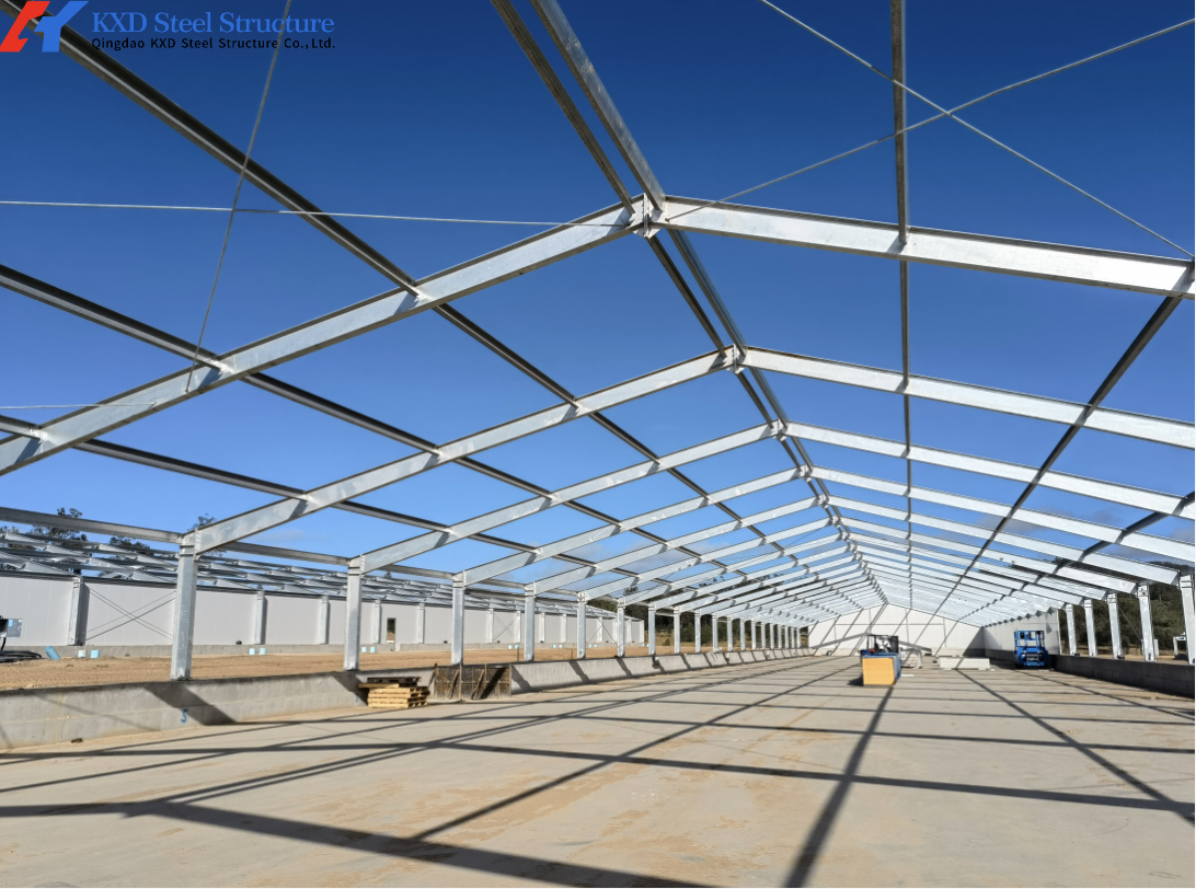 Edificios de acero prefabricados para el ganado de aves de corral