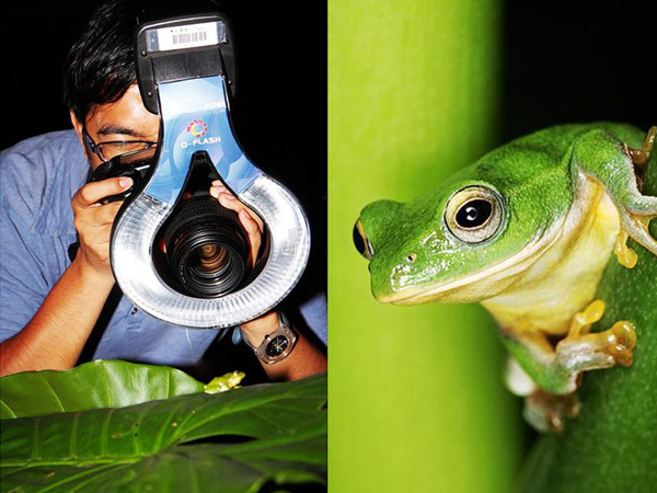 Macro O Ring Flash for Canon 550EX 580EX/580EX II with Canon 1DS / 1D / 1V - Model F175