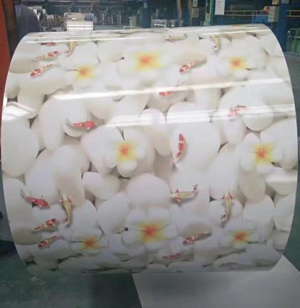 CGCC SPCC Prepainted Color Coated Steel Coil DX51D Prepainted 60g/M² - 600g/M² 0.2mm