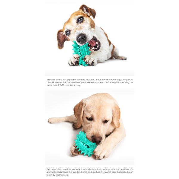 Clean Teeth Leaking Molar Dog Toothbrush Pet Toy Bite Resistant Dog Toy Ball