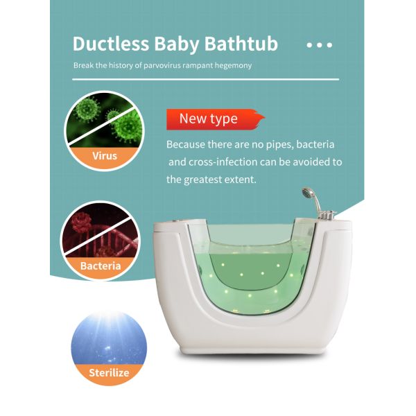 Indoor Baby SPA Bath Tub Tubeless Pump Combo Massage Thermosta with Ozone