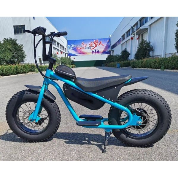 36V350W Electric Off-Road Dirt Bike for Kids Customizable Lithium Battery and Braking System