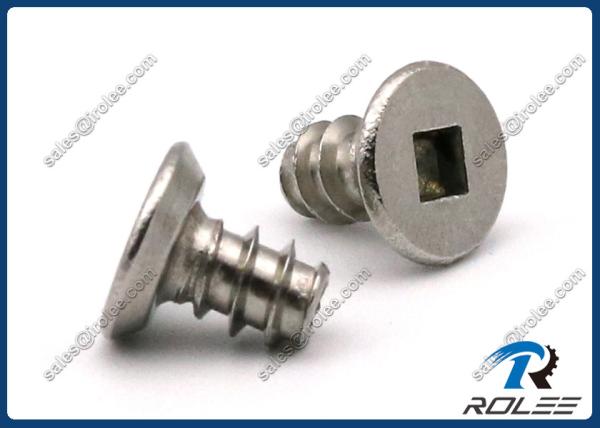 304/316 Stainless Steel Square Flat Undercut Head Tapping Screws for Plastics