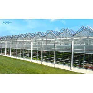 Тип парник Venlo стекла Polytunnel рамки металла стабилизировал 60x90m