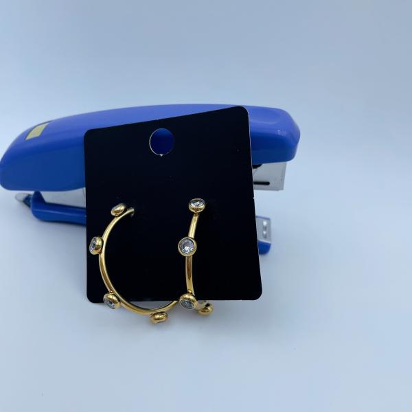 Polished Gold Finish Stainless Steel Earring with CZ Stone and Gold