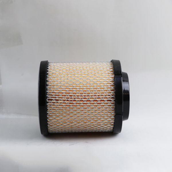 NISSANPICK UP 16546-9S001 16546-9S000 Vehicle Accessories Auto Air Filter